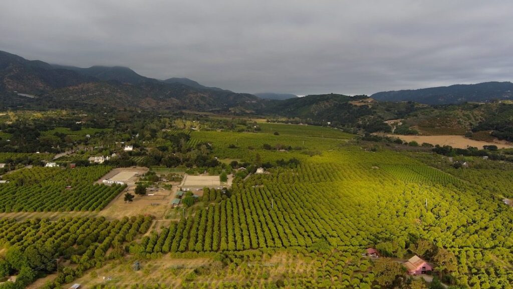living in Ojai gren fields